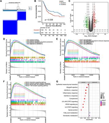 A novel platelet risk score for stratifing the tumor immunophenotypes, treatment responses and prognosis in bladder carcinoma: results from real-world cohorts